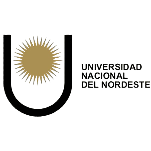 png-transparent-national-university-of-the-northeast-national-university-of-central-buenos-aires-national-university-of-cordoba-nordeste-text-logo-university-removebg-preview